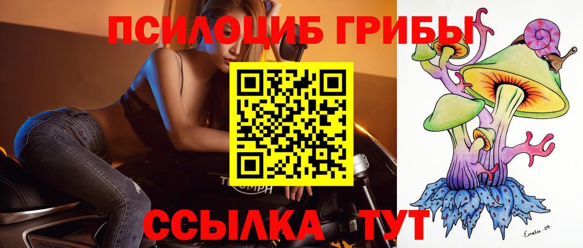 Лянтор  Галлюциногенные грибы Cubensis  Вход с VPN  Галлюциногенные грибы мицелий 